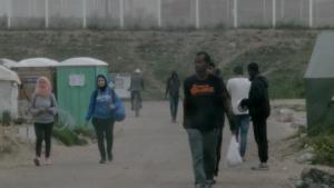 Song for the Jungle (C)