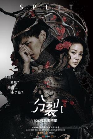 Split 1 - Nº 906 Patient File