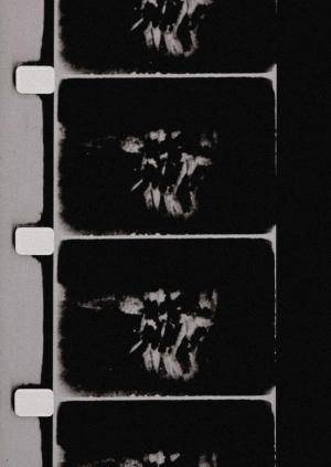 Studies in Image (De)Generation (C)