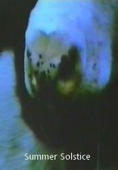 Summer Solstice