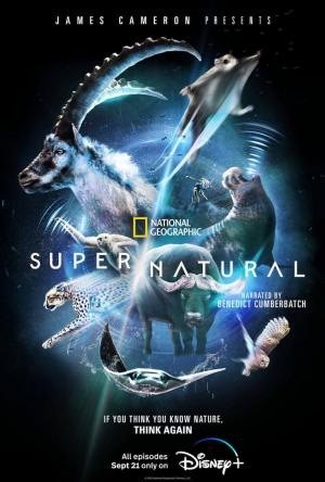 Super/Natural (Miniserie de TV)