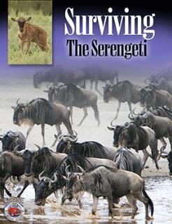 Surviving the Serengeti