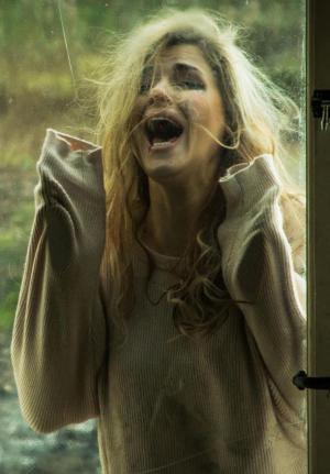 Tales from the Lodge