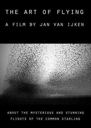 The Art of Flying (C)