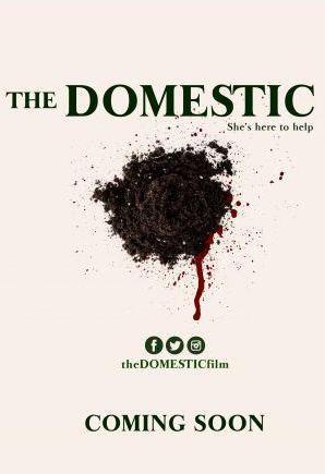 The Domestic