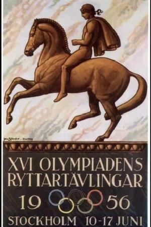 The Horse in Focus (C)