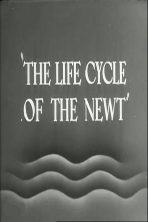 The Life Cycle of the Newt (C)