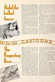 The Prospecting Bear (C)