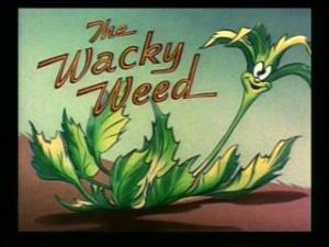 The Wacky Weed (C)