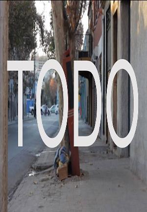 Todo