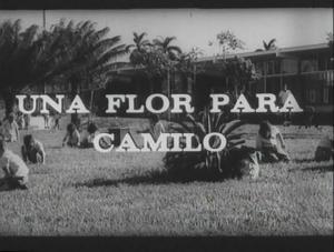 Una flor para Camilo (C)
