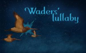 Waders' Lullaby (C)