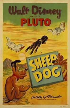 Pluto: Sheep Dog (C)