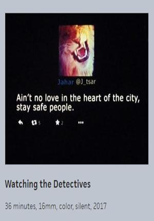 Watching the Detectives