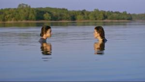 What Happened to the Wolf?