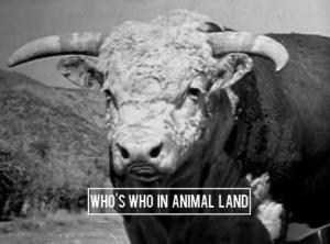 Who's Who in Animal Land (S) (C)