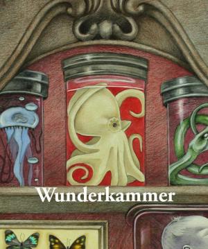 Wunderkammer (C)