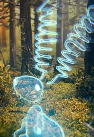 Xbox Series X: Lucid Odyssey (C)