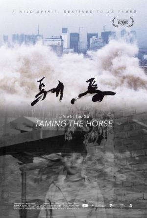Taming the Horse