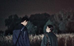 A Nocturnal Roam (C)