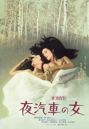 Woman on the Night Train