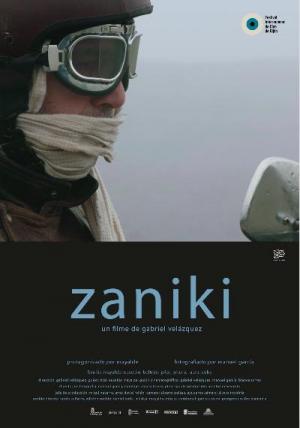 Zaniki